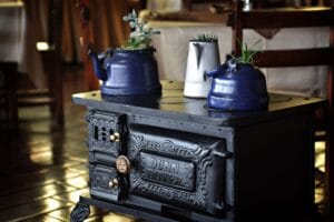 cast iron plants - A vintage stove with blue kettles and plants, creating a rustic indoor atmosphere.