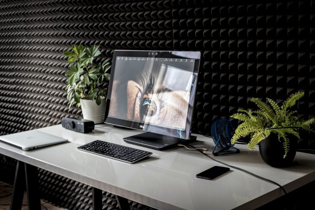 Illustration of 5 Stunning Minimalist Office Plants for Easy Desk Decor