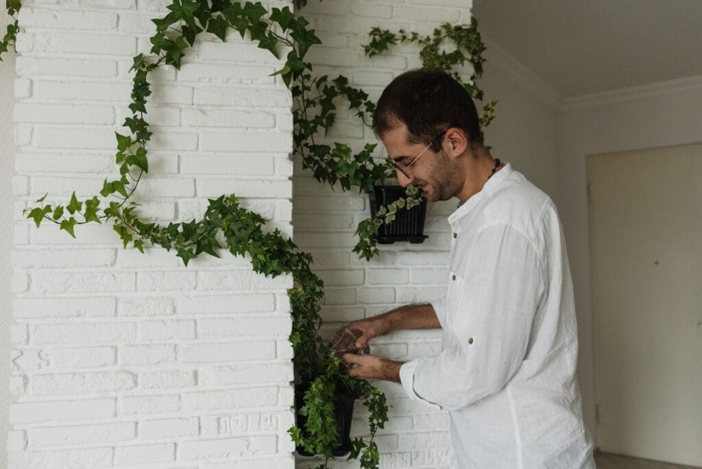 Illustration of 7 Best Indoor Climbing Plants for Stunning Decor