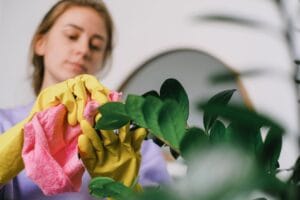Illustration of Clean Indoor Plant Leaves: 5 Safe & Easy Secrets