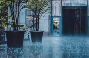 using rainwater for sensitive indoor plants - City courtyard in rainfall with large potted trees and reflections.